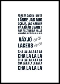 Växjö Lakers VLH No4-0