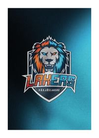Växjö Lakers VLH E-sport-1