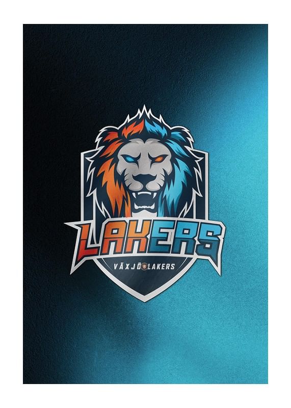 Poster VLH E-sport
