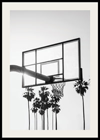 Melnbalta basketbola groza fotogrāfija ar palmām fonā-2