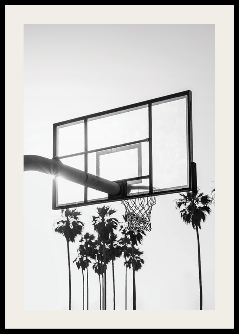 Melnbalta basketbola groza fotogrāfija ar palmām fonā-12