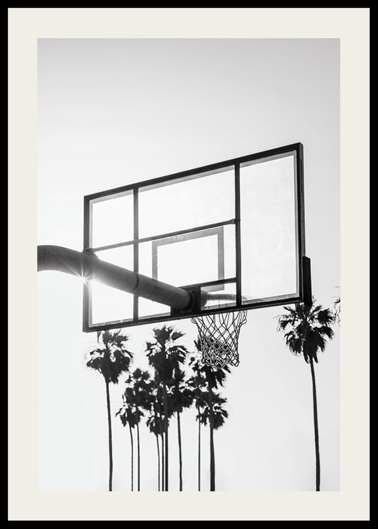Photographie en noir et blanc d'un panier de basket avec des palmiers en arrière-plan-12