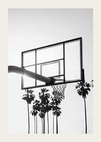 Melnbalta basketbola groza fotogrāfija ar palmām fonā-3