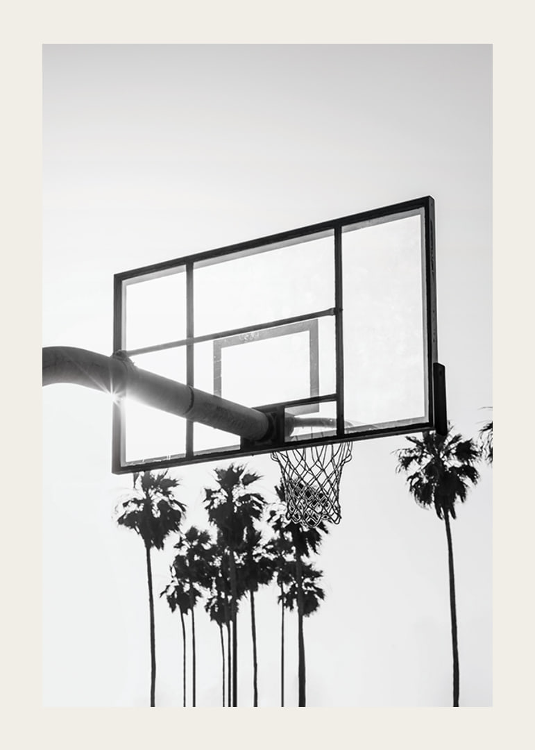Melnbalta basketbola groza fotogrāfija ar palmām fonā-12