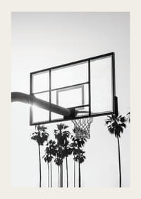 Photographie en noir et blanc d'un panier de basket avec des palmiers en arrière-plan-3