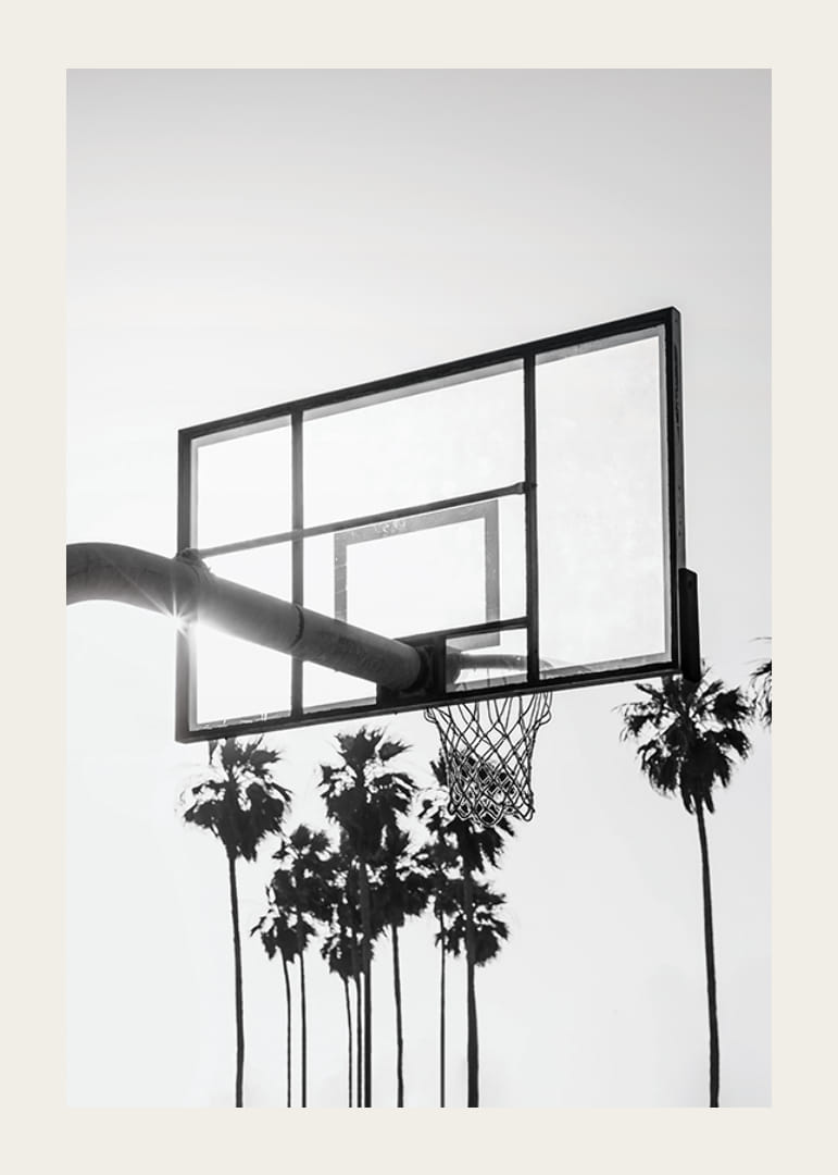 Photographie en noir et blanc d'un panier de basket avec des palmiers en arrière-plan-12