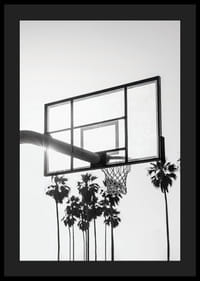 Photographie en noir et blanc d'un panier de basket avec des palmiers en arrière-plan-4