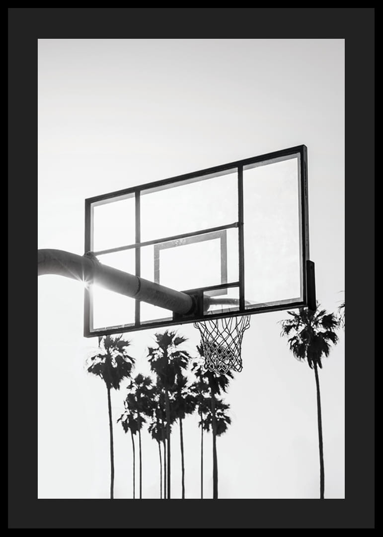 Photographie en noir et blanc d'un panier de basket avec des palmiers en arrière-plan-12