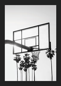 Melnbalta basketbola groza fotogrāfija ar palmām fonā-5