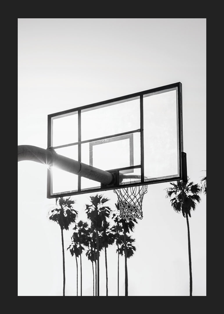 Melnbalta basketbola groza fotogrāfija ar palmām fonā-12