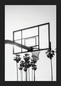 Photographie en noir et blanc d'un panier de basket avec des palmiers en arrière-plan-5