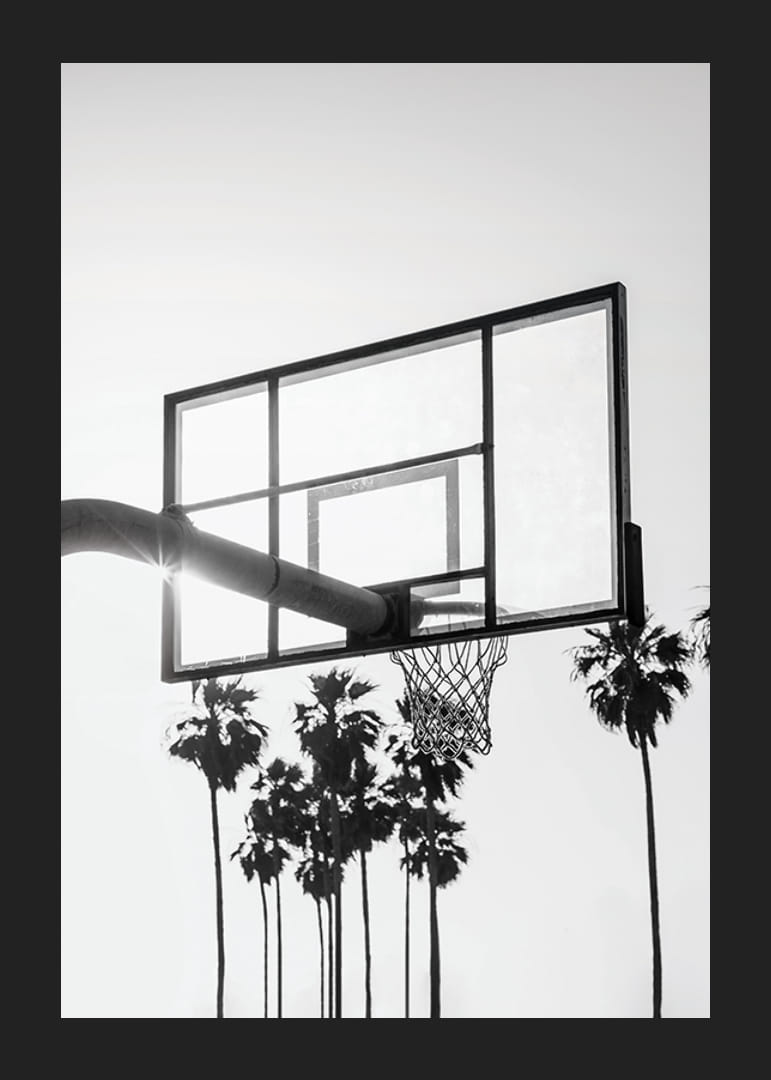 Photographie en noir et blanc d'un panier de basket avec des palmiers en arrière-plan-12