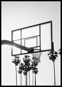 Melnbalta basketbola groza fotogrāfija ar palmām fonā-6