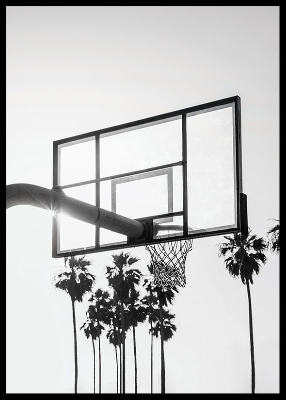 Melnbalta basketbola groza fotogrāfija ar palmām fonā-12