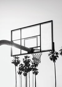 Melnbalta basketbola groza fotogrāfija ar palmām fonā-7