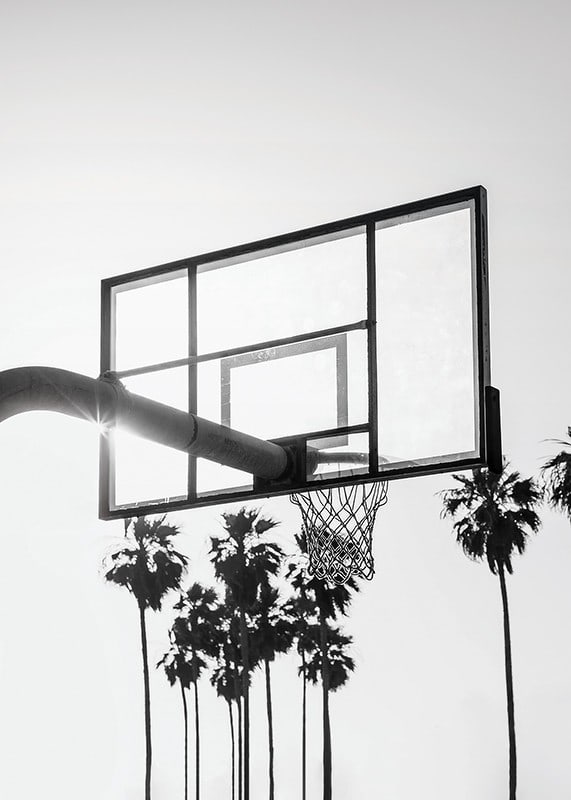Melnbalta basketbola groza fotogrāfija ar palmām fonā-12