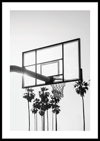 Melnbalta basketbola groza fotogrāfija ar palmām fonā-0