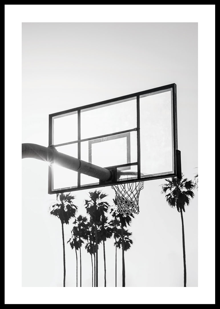 Melnbalta basketbola groza fotogrāfija ar palmām fonā-12