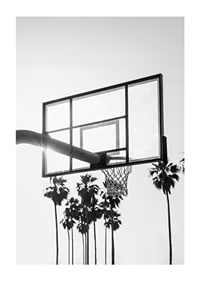 Melnbalta basketbola groza fotogrāfija ar palmām fonā-1