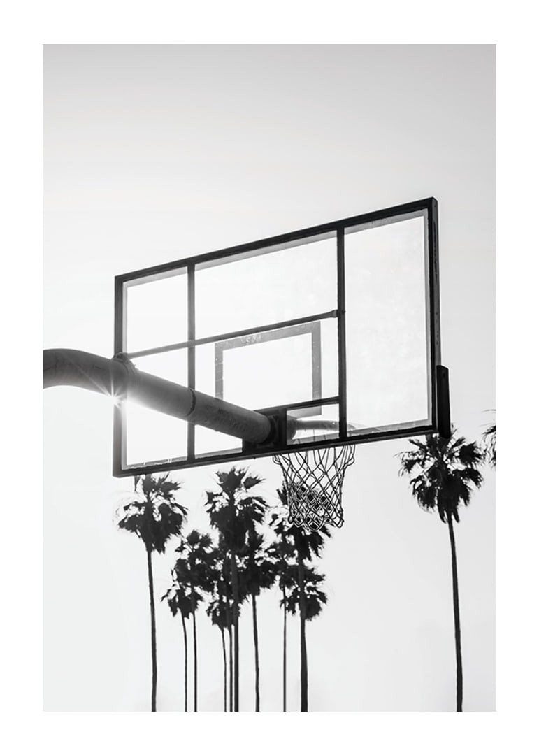 Melnbalta basketbola groza fotogrāfija ar palmām fonā-12