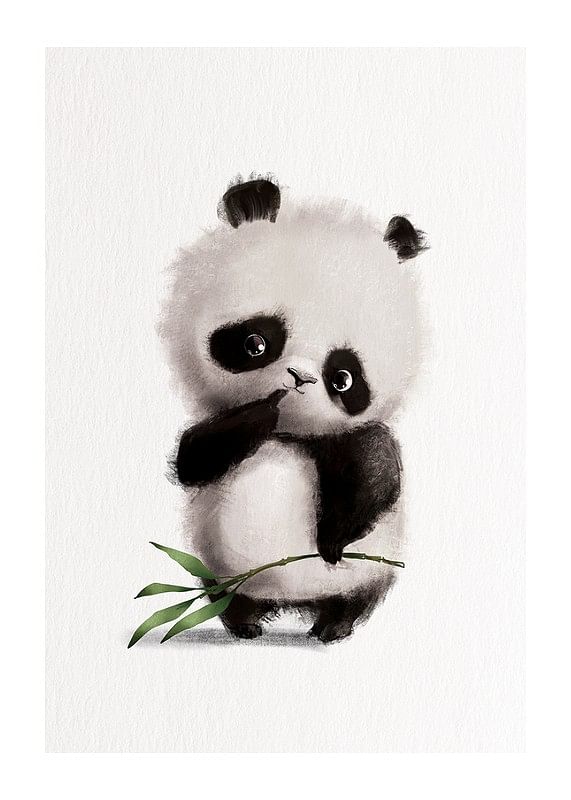 Thoughtful Panda-12