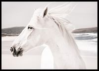 White Horse Landscape-2