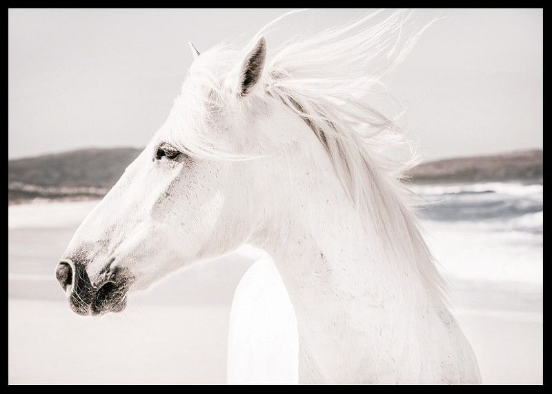 White Horse Landscape-12