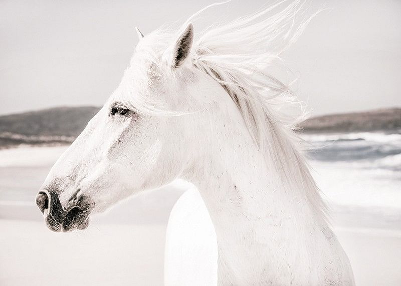 White Horse Landscape-12