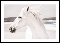 White Horse Landscape-0