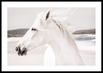 Poster White Horse Landscape