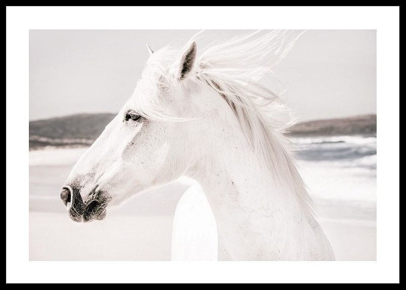 White Horse Landscape-12