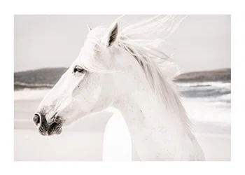 Poster White Horse Landscape