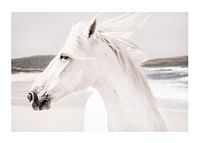 White Horse Landscape-1