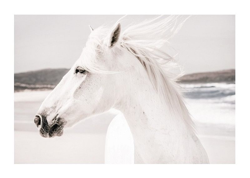 White Horse Landscape-12