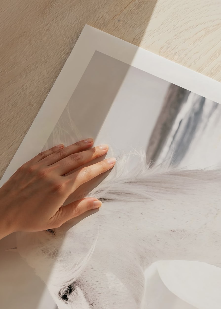 Fotografický detail bieleho koňa pri mori v jemných tónoch-12