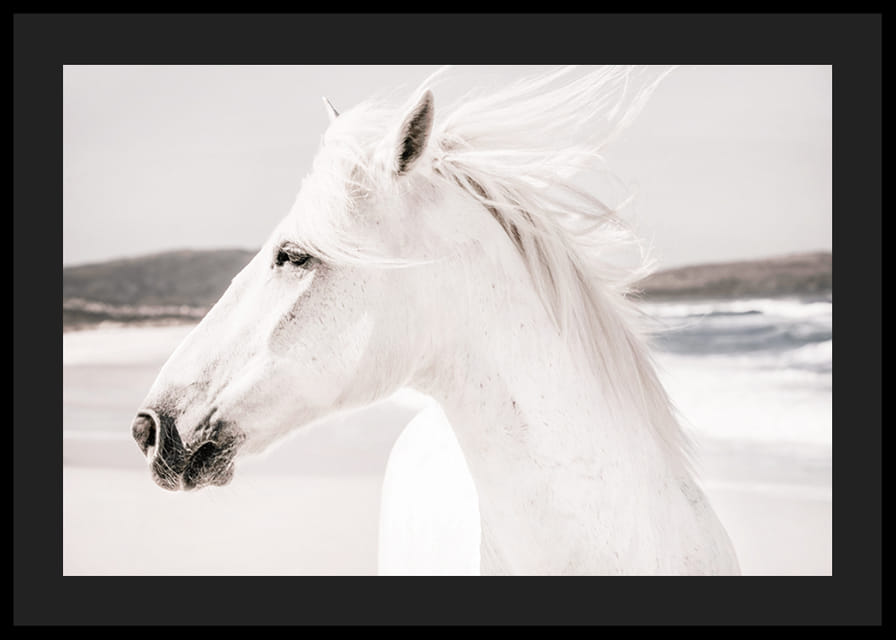 Fotografisk närbild av vit häst vid havet i mjuka toner-12