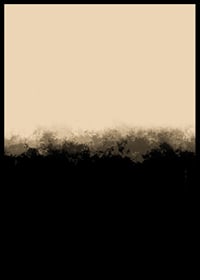 Abstract fields in beige and black with soft transitions-6