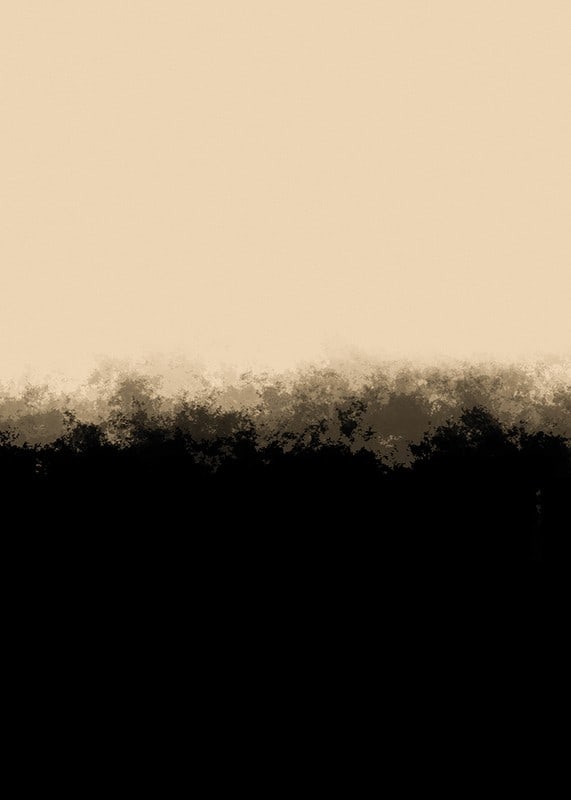 Abstract fields in beige and black with soft transitions-12