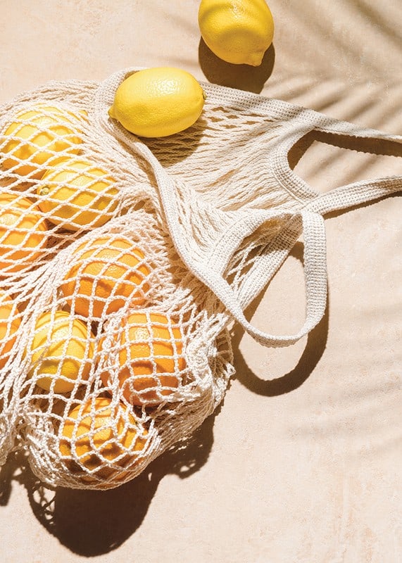 Photographic close-up of lemons in a mesh bag on a light background-12