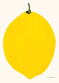 Graphic illustration of a yellow lemon against a light background-7