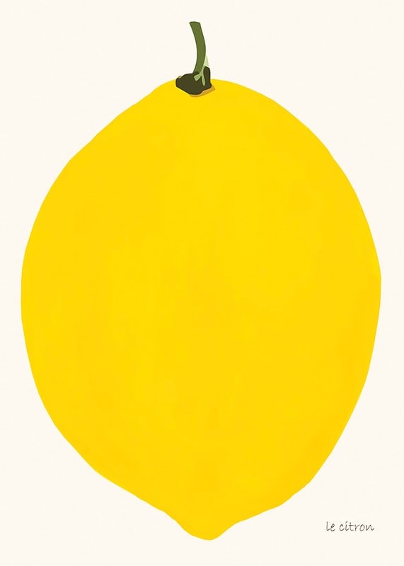 Graphic illustration of a yellow lemon against a light background-12