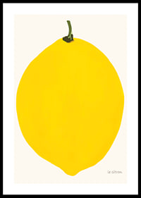 Graphic illustration of a yellow lemon against a light background-0