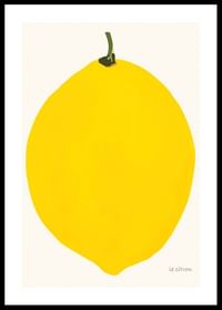 Le Citron-0