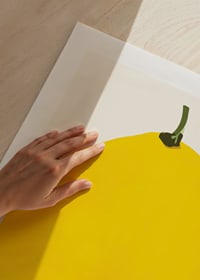 Graphic illustration of a yellow lemon against a light background-9