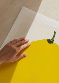Le Citron-5