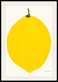 Graphic illustration of a yellow lemon against a light background-2