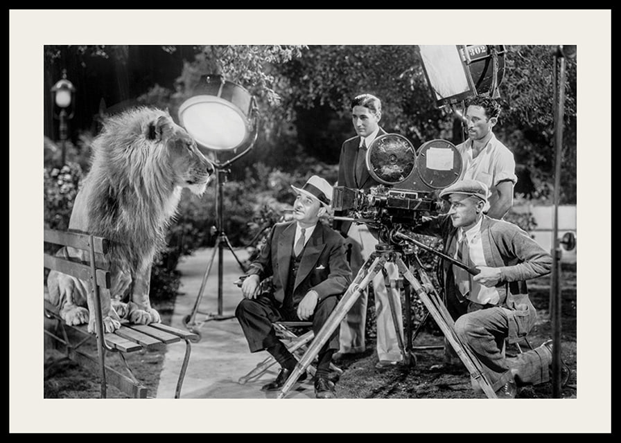Black and white scene with lion on bench and film recording-12