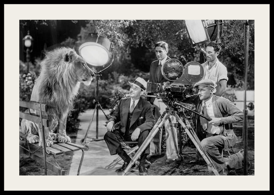 Fekete-fehér jelenet oroszlánnal a padon és filmfelvétellel-12