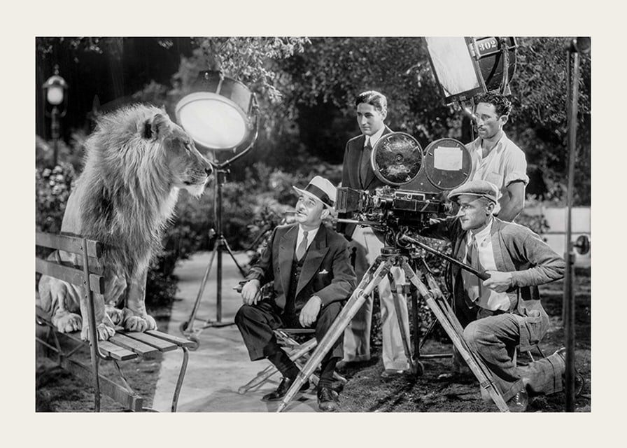Black and white scene with lion on bench and film recording-12