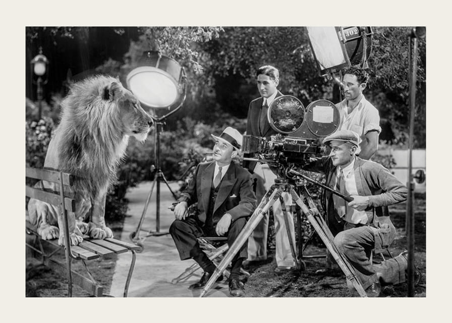 Fekete-fehér jelenet oroszlánnal a padon és filmfelvétellel-12